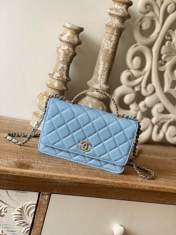 Chanel Handbags 157